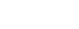 NyluDent